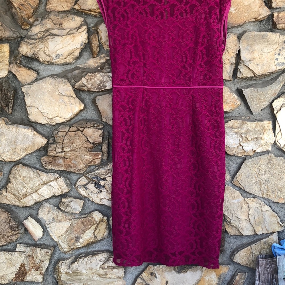 Adrianna Papell Lace Dress